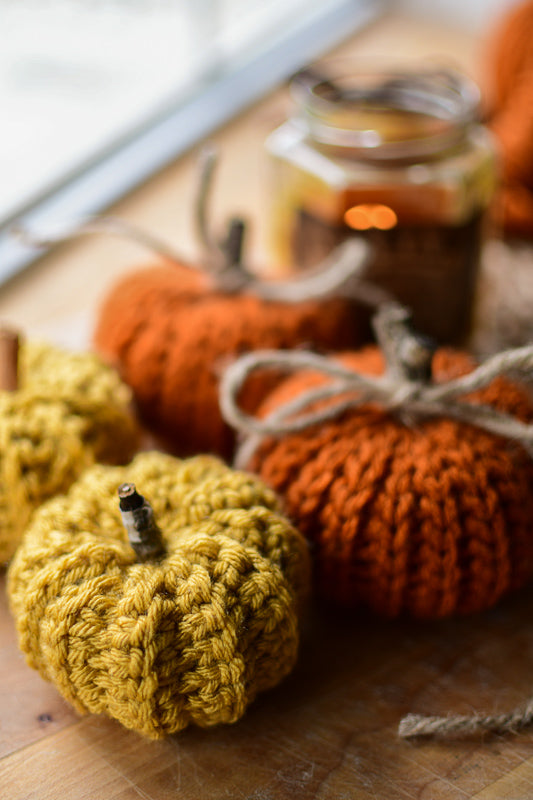 Beginner Crochet Workshop - Fall Pumpkin